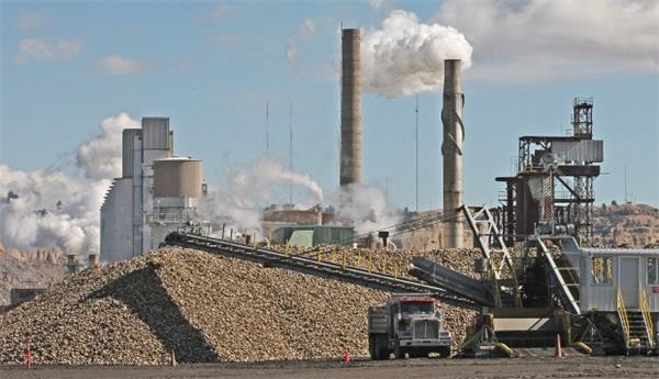 sugar-beet-production-line.jpg