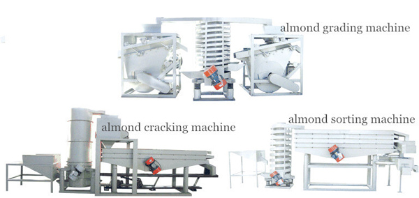 automatic-almond-crackingsorting-machine.jpg