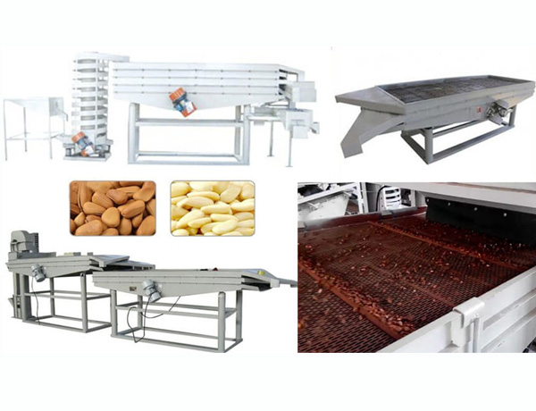 pine nuts shelling machine