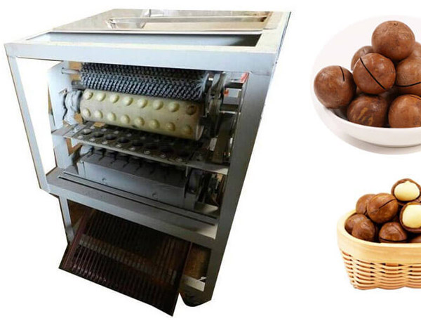 macadamia nut cutting machine