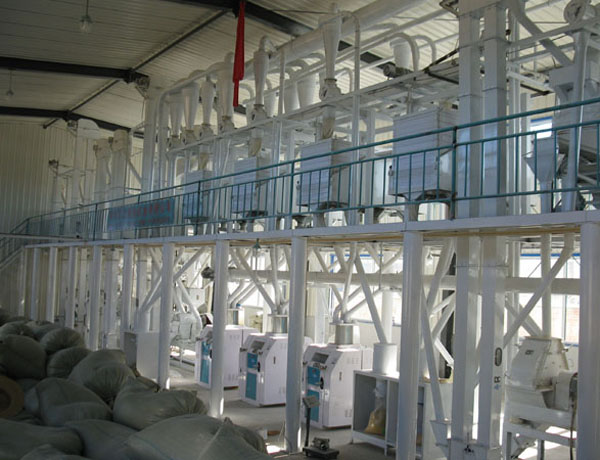 200tons corn flour production machine