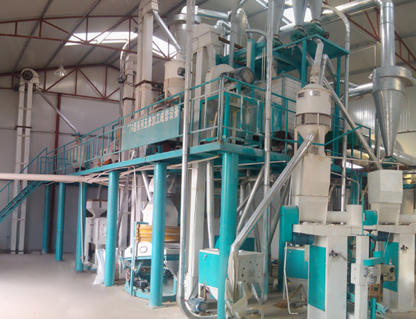 Ethiopian corn flour processing equipment project