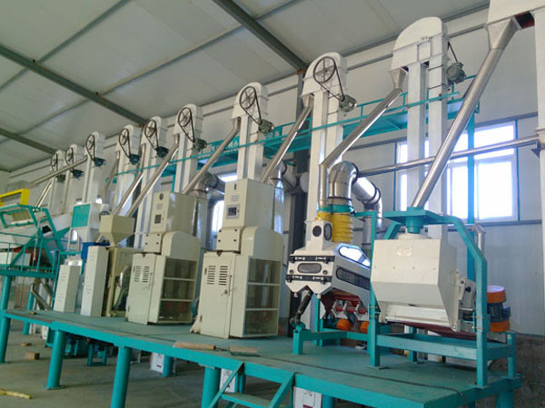 50-tons rice flour complete equipment