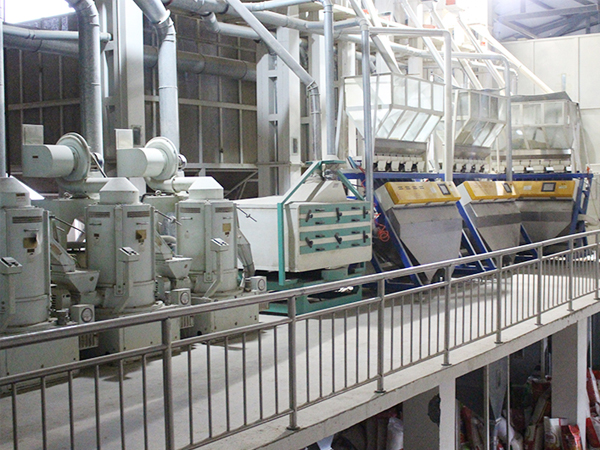 200tons rice flour processing machine