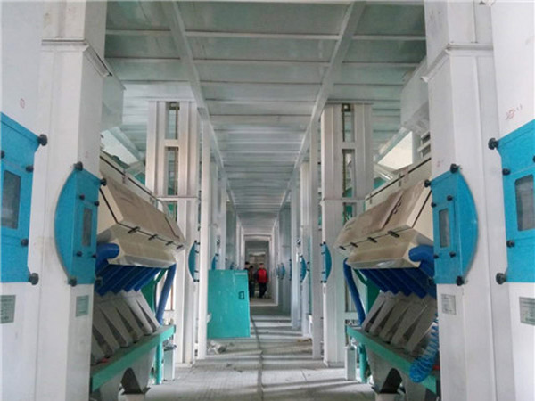 300-500ton flour processing equipment