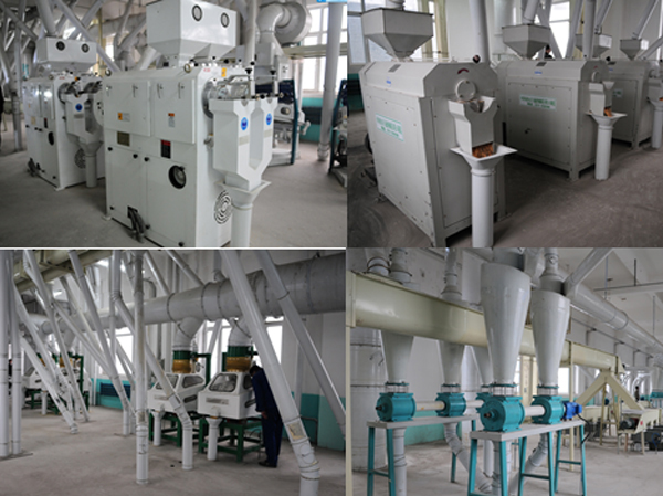 Bean peeling and flour milling machine