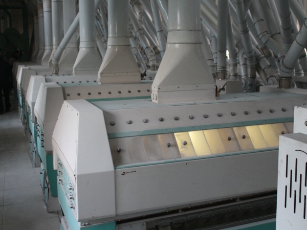 Highland barley flour milling production line