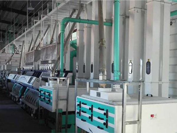 Quinoa peeling flour procesing machine