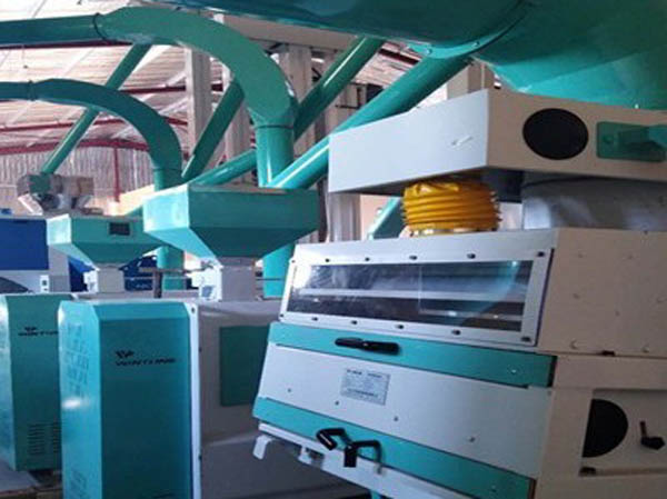 Sorghum flour peeling production machine