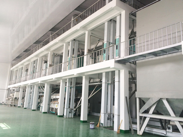 Buckwheat processing equipment