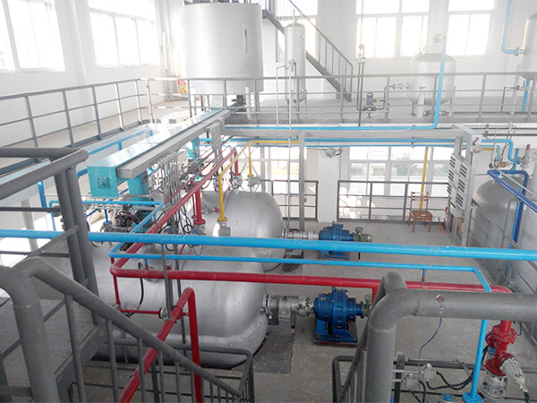 tea seed oil production line