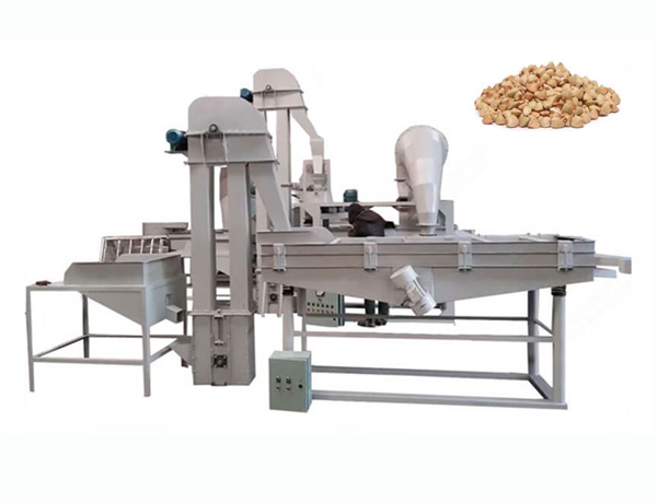 Nut seed shelling and peeling machine